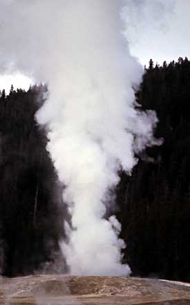 Giantess Geyser erupts