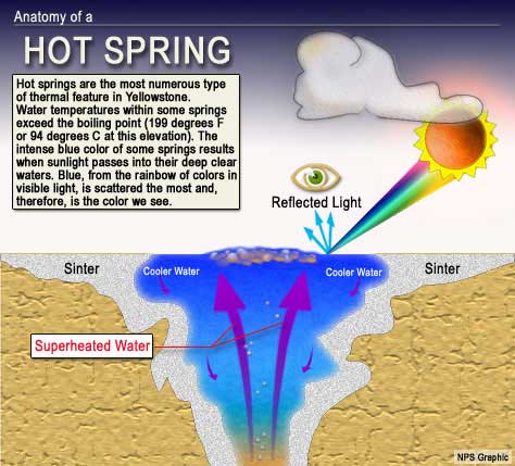 graphic showing the anatomy of a hot spring; see long description for more information