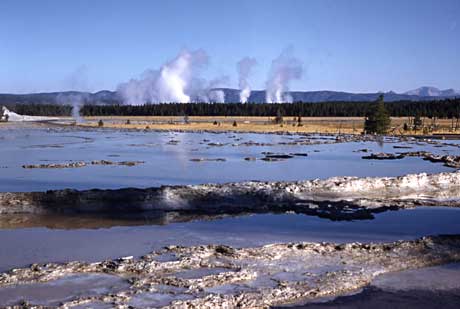 An overview of the Lower Geyser Basin shows several columns of steam rising in the distance
