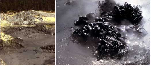 Two photos: one shows yellow bands around a mudpot; the other hsows a roiling black mudpot