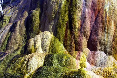 Yed, green, yellow and purple microorganisms stain the side of Orange Spring Mound