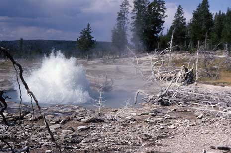 Sesmic geyser is an example of a fountain-type geyser.