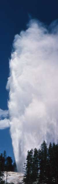 A tall column of steam and water rise from Steamboat Geyser