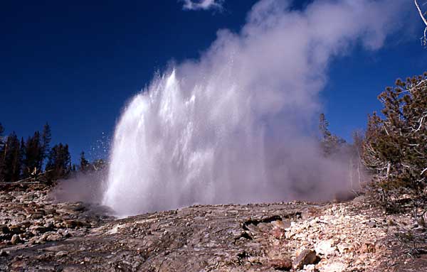 Steamboat Geyser erupts