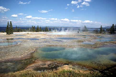 Several hot springs dot the West Thumb area