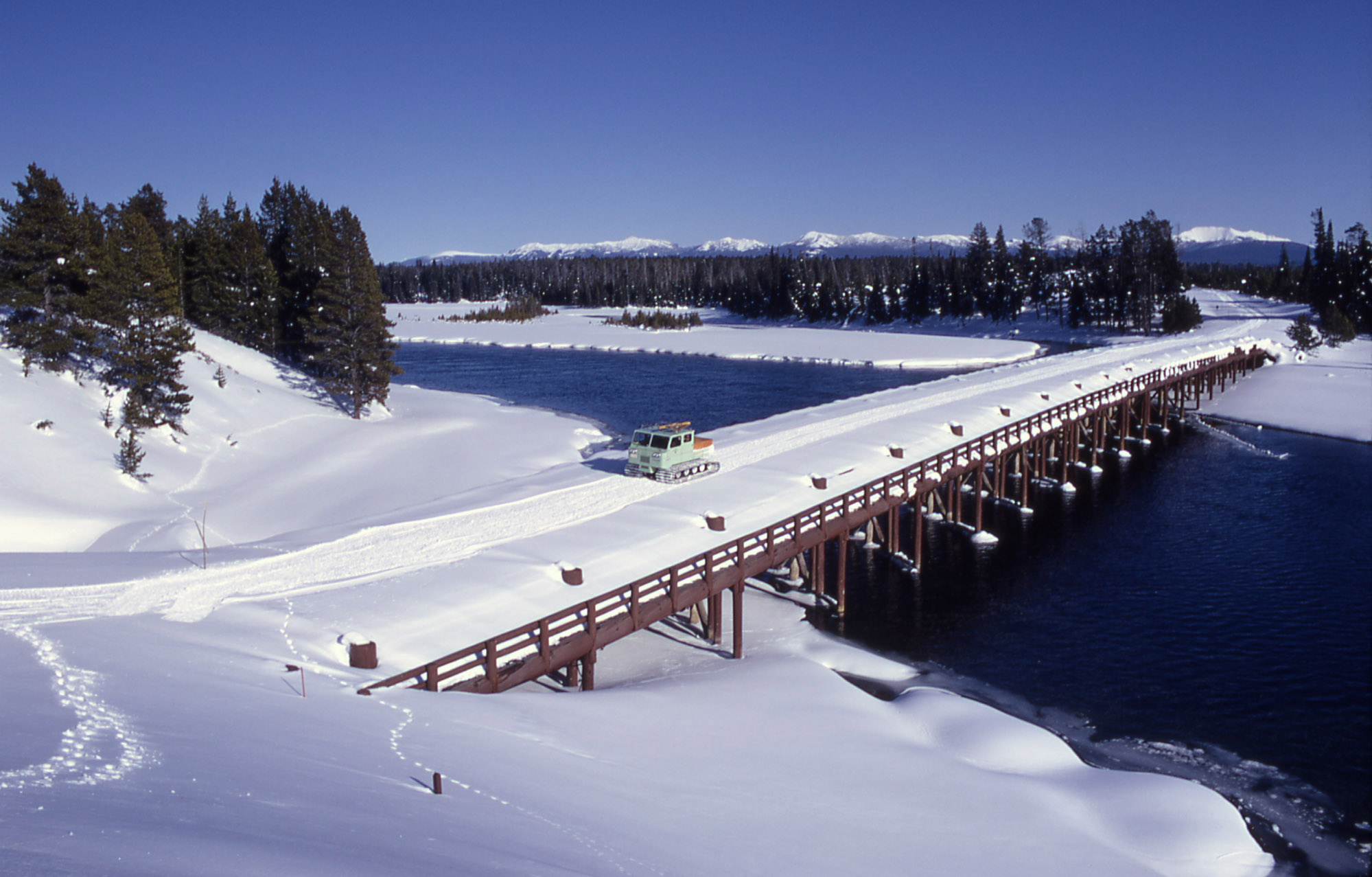 Yellowstone's Photo Collection