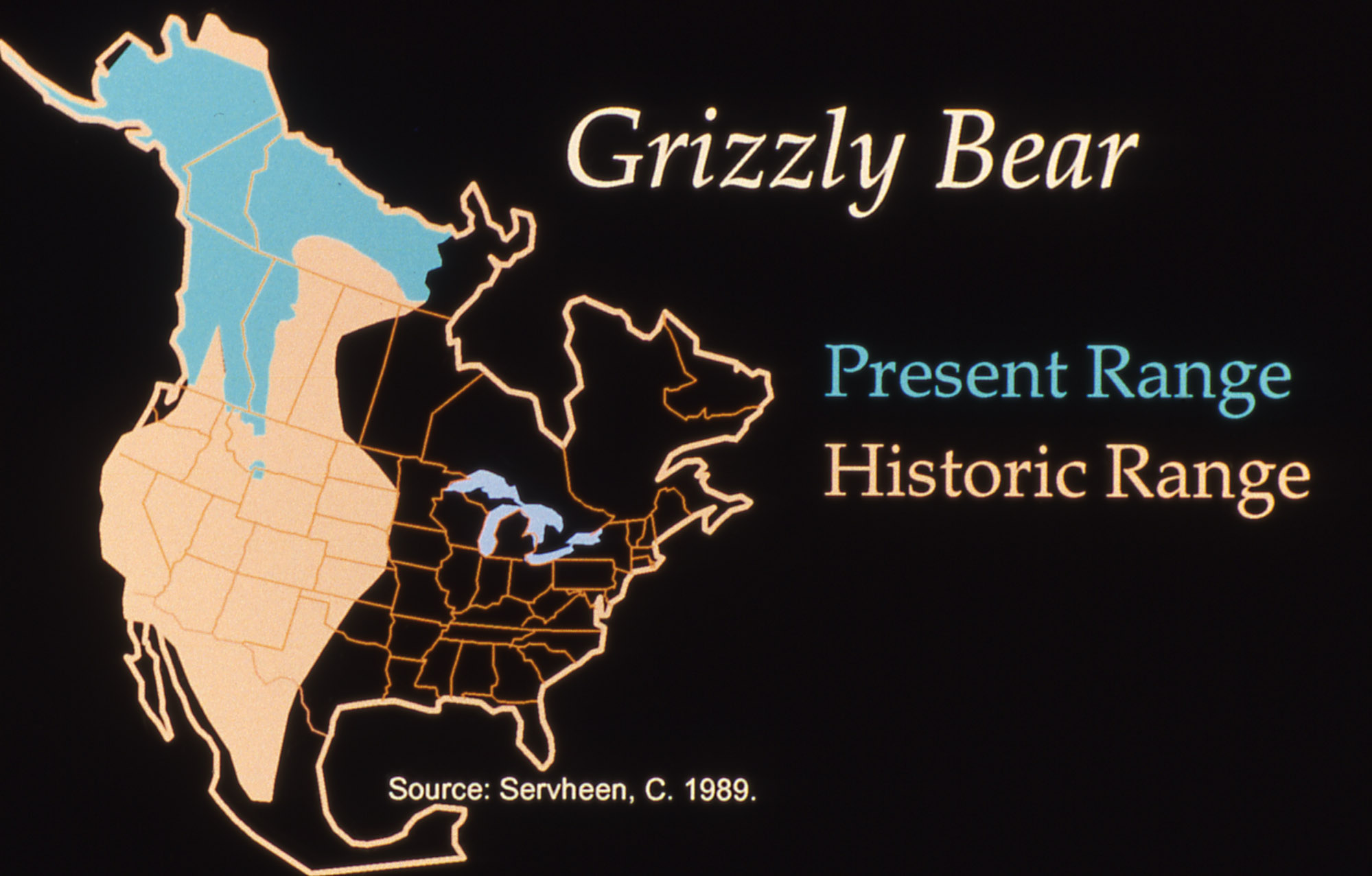 Grizzly Bear на карте. Bear range. Inscription карта Гризли. Grizzly Bear вино. Where bears live