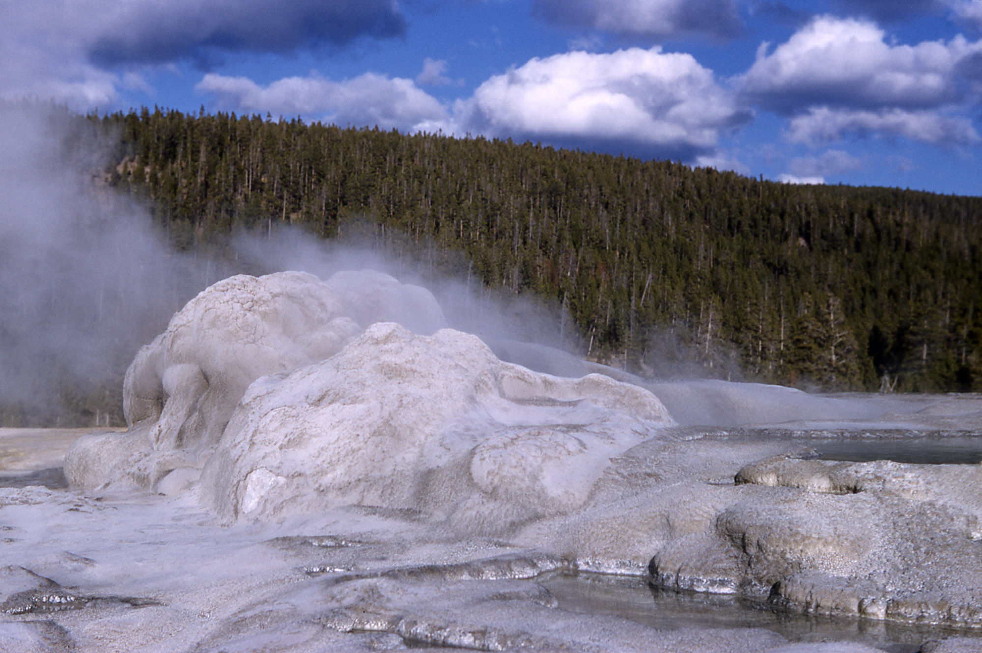 Yellowstone Digital Slide File