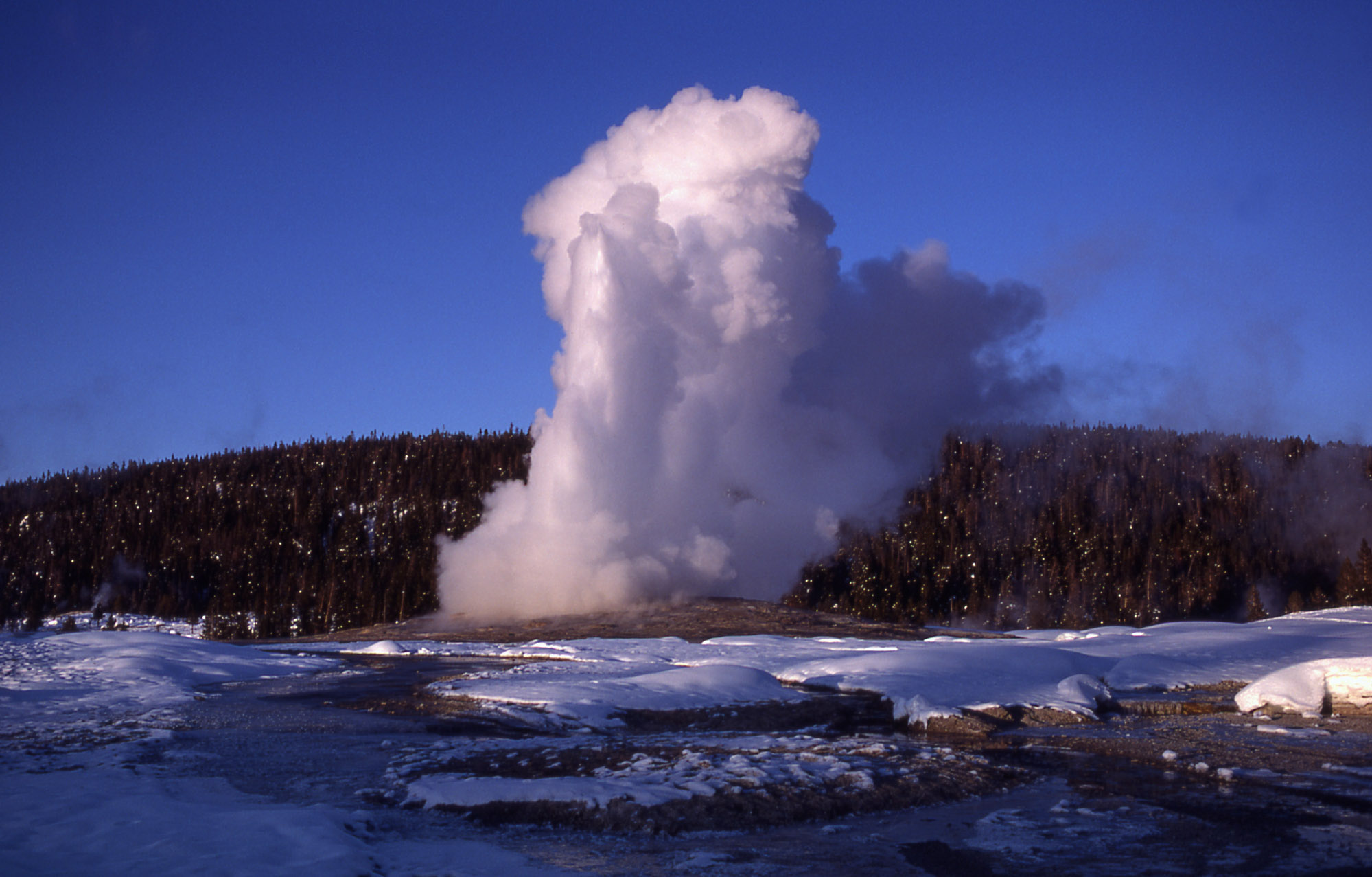 Yellowstone Digital Slide File