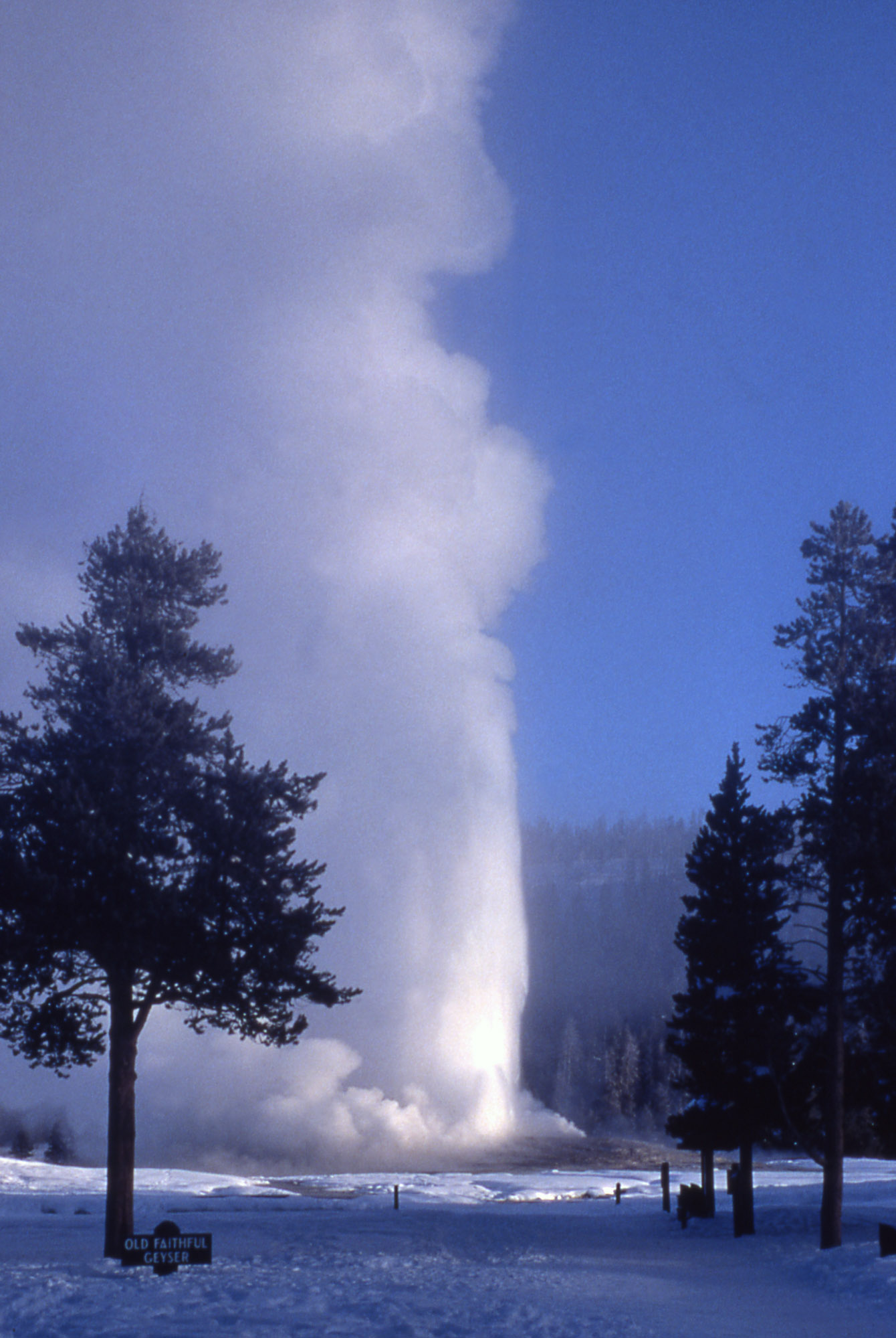 Yellowstone Digital Slide File