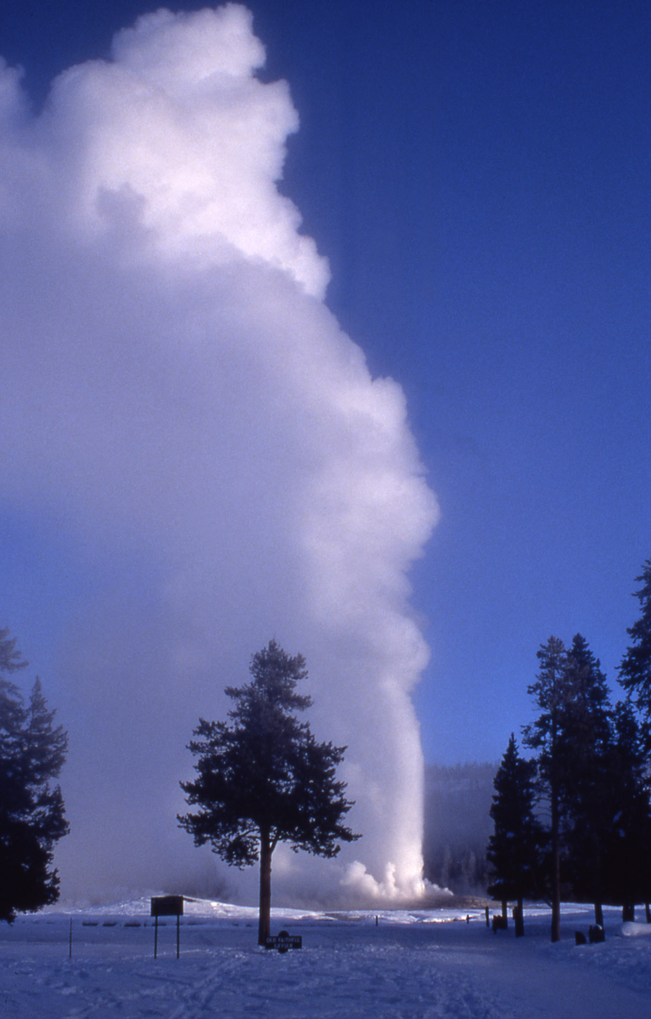 Yellowstone Digital Slide File