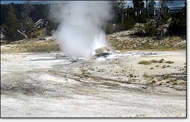 Jet Geyser spouts off in the Fountain Paint Pot Area of the Lower Geyser Basin.