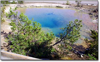 Brown bacteria rings the deep blue waters of Leather Pool.