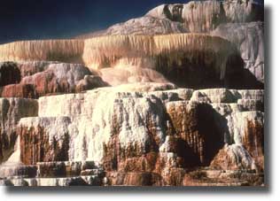 Minerva Terrace has a wide range of bright colors and ornate travertine formations.