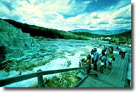 Visitors make use of the extensive boardwalks to get better views of the Mammoth Hot Springs area.