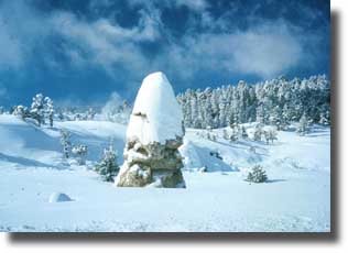 Liberty Cap, topped with snow, rises like a giant mushroom in the winter landscape.