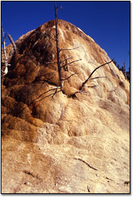 Orange Spring Mound got its shape from slow water flow and mineral deposition.