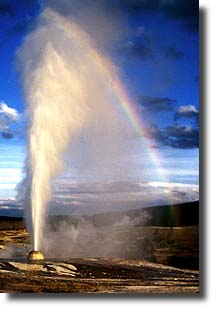 Beehive Geysers shoots a column of water up to 190 feet and creates a delicate rainbow against a deep blue sky.