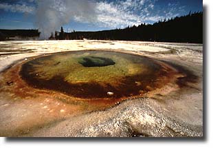 Chromatic Spring is closely related to Beauty Pool