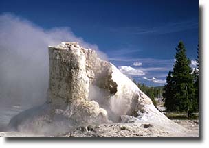 Giant Geyser has an enormous creamy white cone.