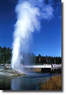 Mortar Geyser spouts off alongside the Firehole  River.