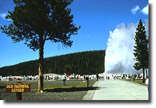 A crowd gathers to watch the park's most predictable geyser, Old Faithful, erupt.
