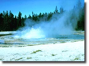 Solitary Geyser erupts every four to eight minutes.