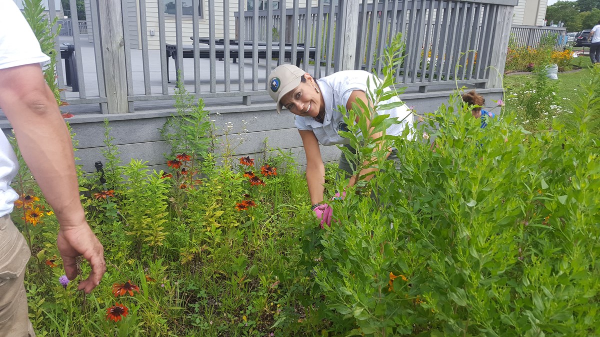 A woman digs in the native plant pollinator garden. A woman digs in the native plant pollinator garden.