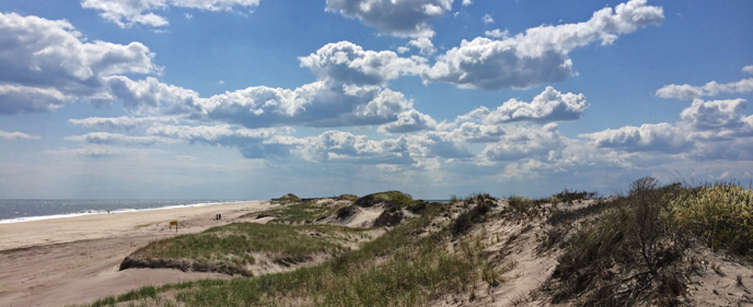 Meandering dune line on Fire Island Meandering dune line on Fire Island