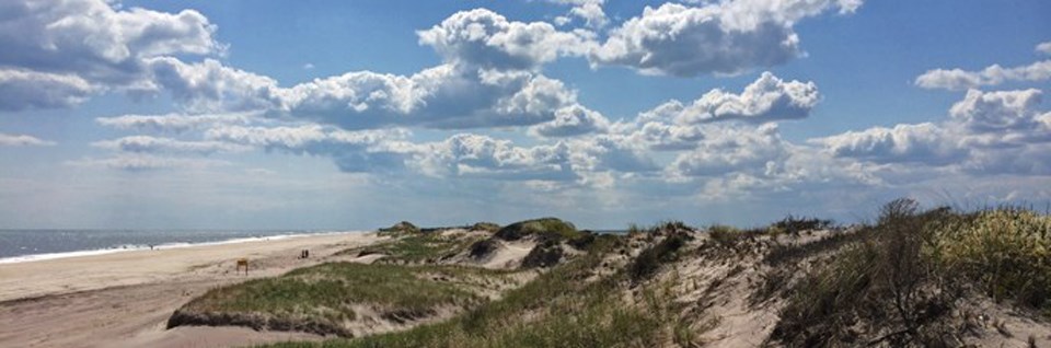 A dune line in front of the beach with a bright blue sky with patchy clouds. A dune line in front of the beach with a bright blue sky with patchy clouds.