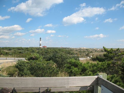 View from wooden platform, lighthouse on the horizon.