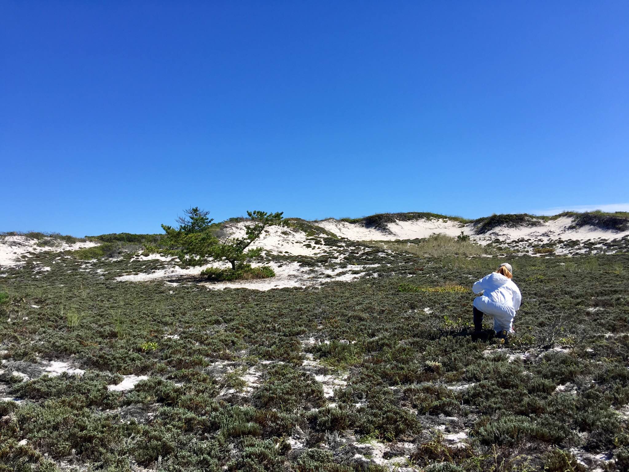 home goods patchogue hours