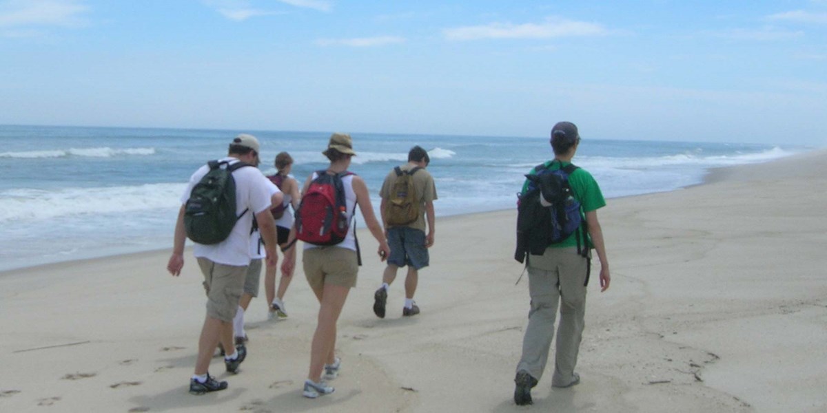 Discover the beauty of the Seashore on the Fire Island Trek Discover the beauty of the Seashore on the Fire Island Trek