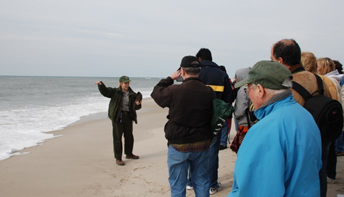 Ranger-guided beach walk