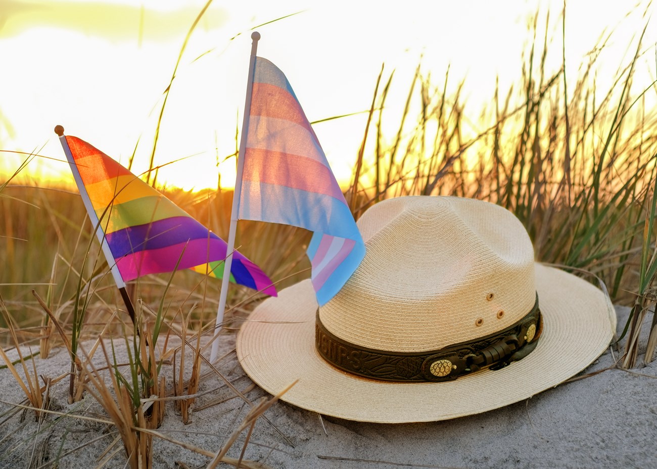 A park rangers flat hat sits atop a sandy dune with an LGBTQ pride flag and Transgender pride flag next to it.
