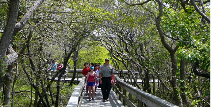 Ranger leads kids on a boardwalk