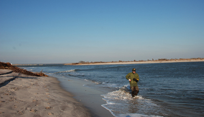 Park employee walking along shoreline to monitor the breach at Old Inlet.