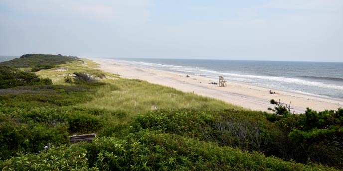 Photo looking east from atop a dune on Fire Island. Photo looking east from atop a dune on Fire Island.