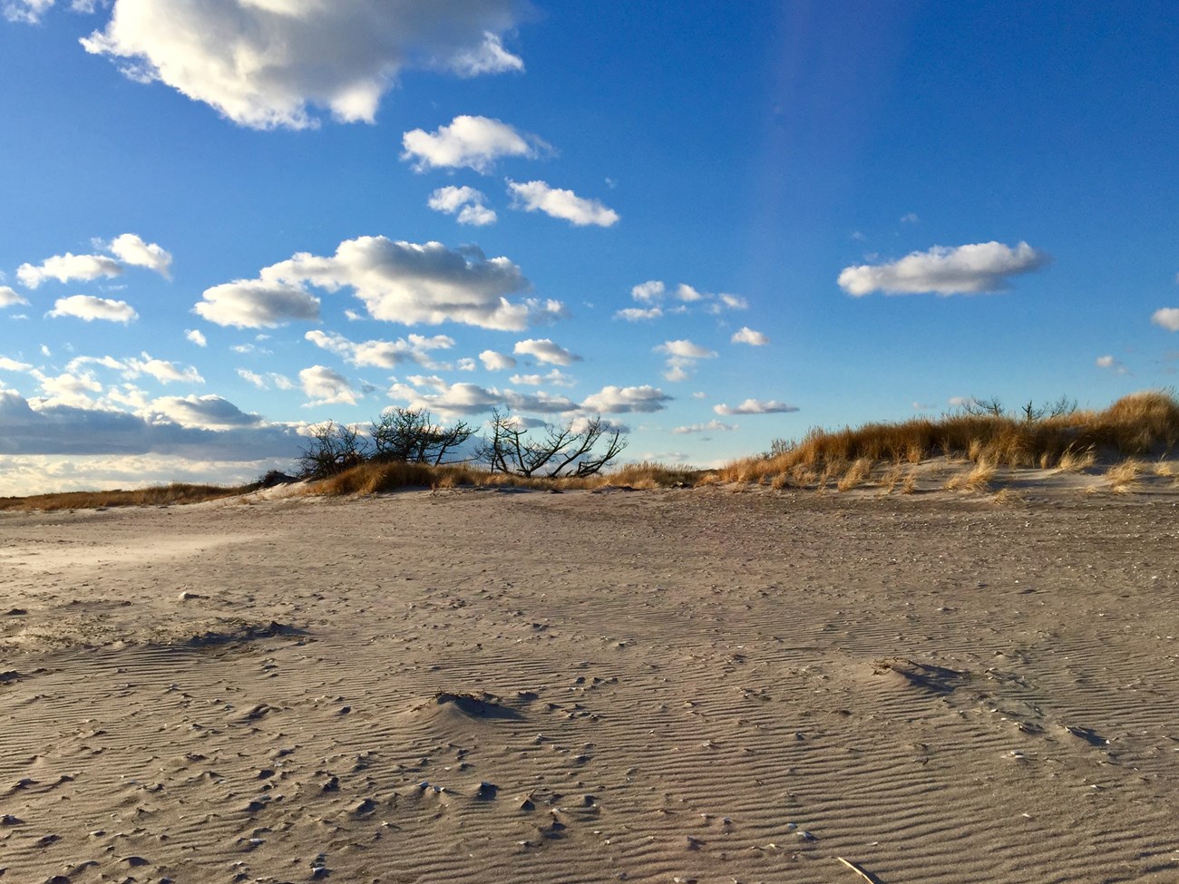 Sweeping view of wide, flat beach and clouds.