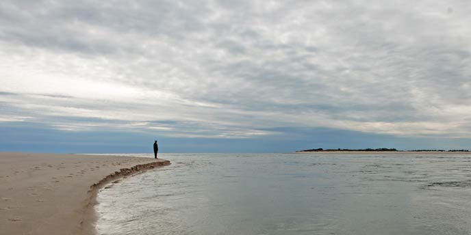 Visitor stands alongside the Wilderness at Fire Island. Visitor stands alongside the Wilderness at Fire Island.