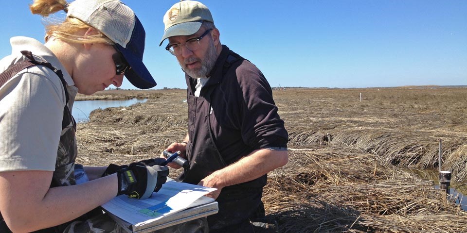 Researchers kneel on a winter salt marsh to take measurements.