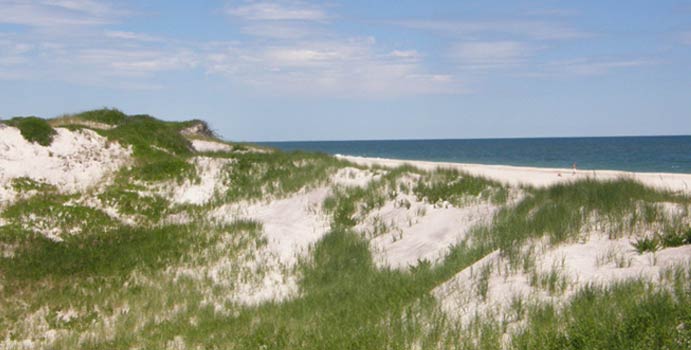 View of primary dune and ocean from middle of barrier island. View of primary dune and ocean from middle of barrier island.