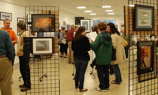 2011 FFINS-NWPLI Art Show attendees