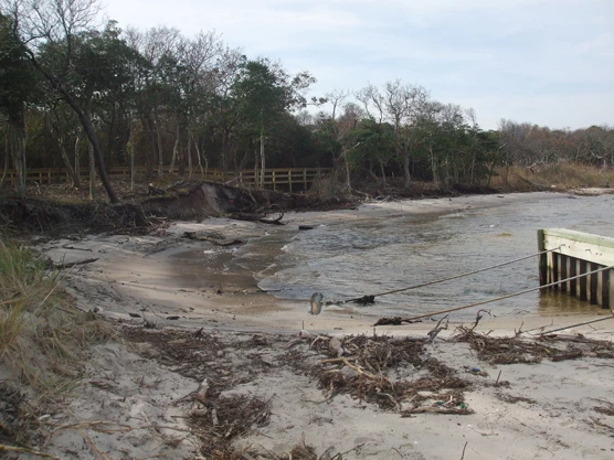 Eroded bay shoreline at Sailors Haven and Sunken Forest.