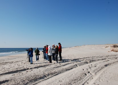 Group of birdwatchers on beach.