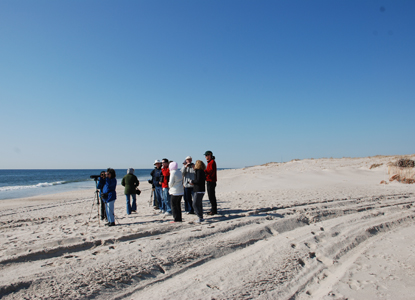 A winter bird walk on the beach