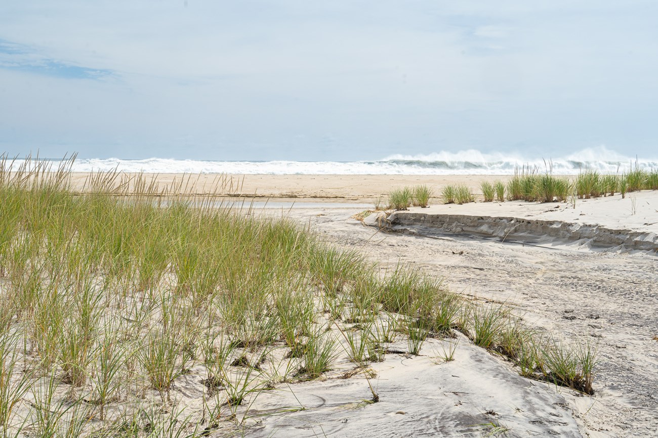 Dry Overwash 9.23 A dry wash area carved in the dune and swale areas.