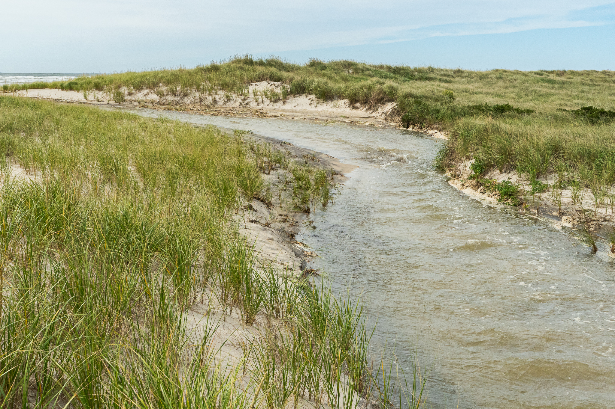 Overwash 9.23 Water moves through a shallow channel carved through the dune and swale.