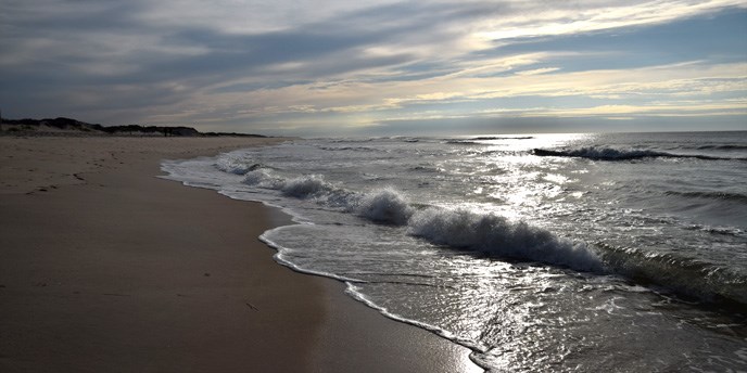 The sun rising over the beach and waves.