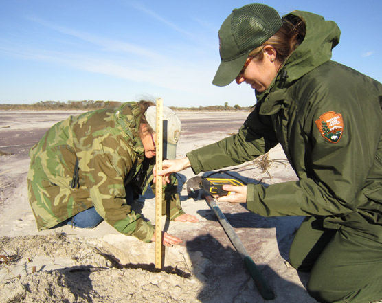 Park biologists take measurements within an overwash caused by Hurricane Sandy in 2012.